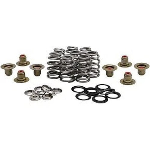 Kibblewhite 20-21800 Beehive Valve Spring Kit .625" Lift for 17-22 M8
