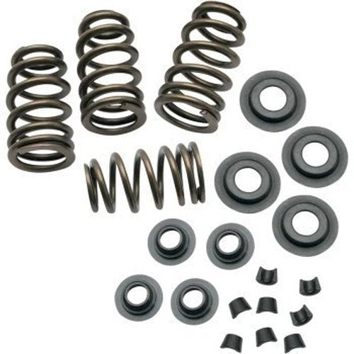 S&S Sidewinder .650" Valve Spring Kit for 84-04 Big Twin & 86-03 Sportster