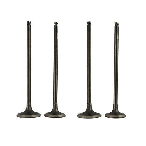 2 Pairs Intake & Exhaust Valves Stem Kit For Yamaha TT-R250 TTR250 1999-2006
