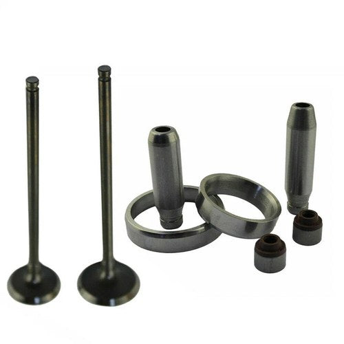 Intake Exhaust Valve & Valve Stem Guide Kit for Kawasaki KXF250 KX250F 2004-2016