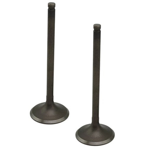 1 Pair Intake Exhaust Valves Kit For Honda CRF250R CRF250L 04-09 CRF250X 04-17