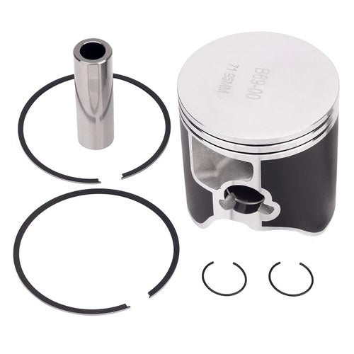 Std Bore Piston & Rings Kit For 300 Exc XC Xcw 2004-2025 TE300 TX300 2017-2024