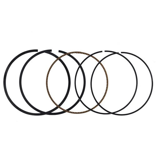 Piston Rings Kit Std 77mm For Zongshen NC250 XZ250R T6 Xmotos 250cc 4 Valves J5
