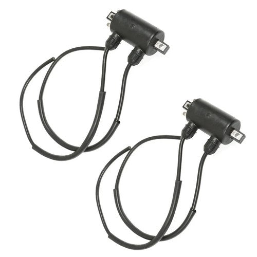 Fit For Honda VT750C Shadow 750 1983 / VT800C Shadow 800 1988 2 Ignition Coil