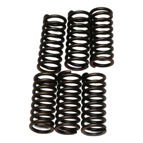 Ebc Heavy Duty Steel Clutch Spring Set CSK29 Honda Kawasaki Suzuki Motorcycle