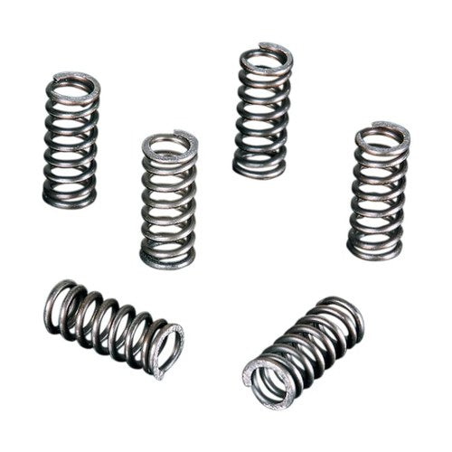 Vesrah Clutch Spring Set SK-303 Suzuki GS750 GS1000 GS1100 RM250 RM400 RM465