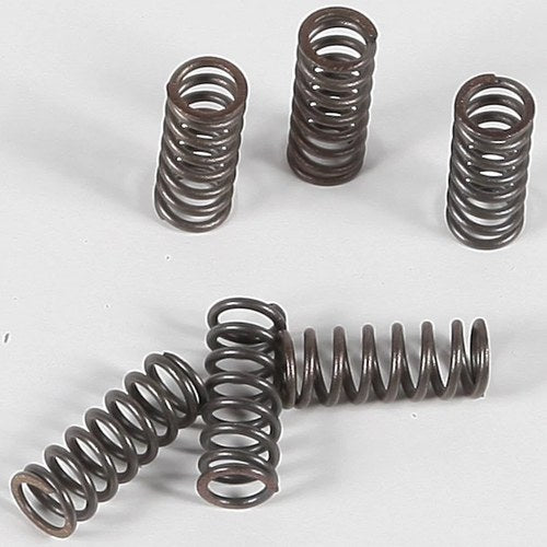 Ebc Csk Clutch Spring Kit CSK39