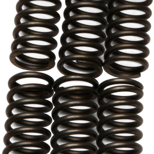 Ebc Csk Clutch Spring Kit CSK80