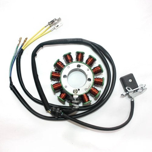 12 Pole Magneto Flywheel Stator Plate 200cc 250cc Pit Quad Dirt Bike ATV Buggy