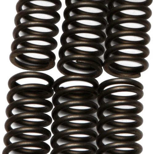 Ebc Csk Clutch Spring Set (CSK80)