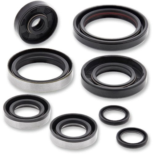 Moose Racing Engine Oil Seal Kit (0935-0946)