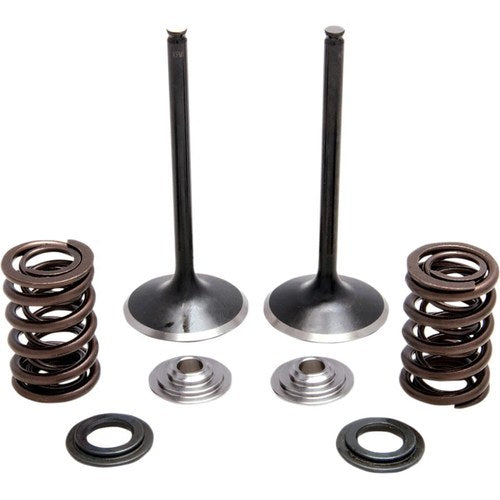 Kibblewhite Spring Kit - Stainless Steel | 30-31230