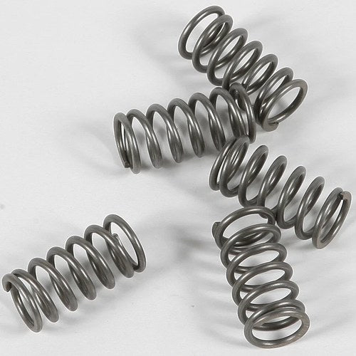 Ebc Csk Clutch Spring Kit | CSK116