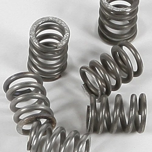 Ebc Csk Clutch Spring Kit | CSK71