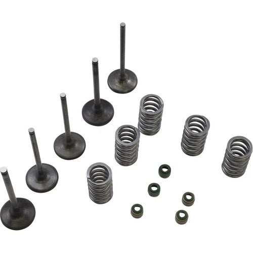 Wiseco Valve Kit | SVKB2424