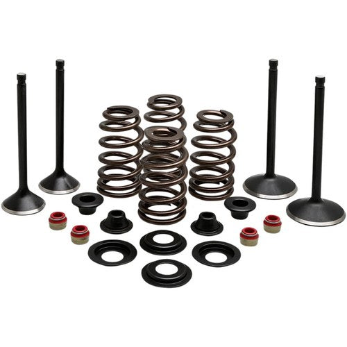 Kibblewhite Complete Valve Kit - Evolution/1200 | 20-22850