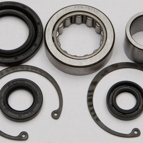 All Balls Inner Primary Bearing And Seal Kit | 25-3101