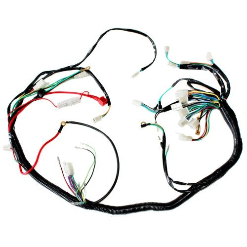 Engine AC Wiring Harness Wiring Loom 150cc 250cc Pit Quad Dirt Bike ATV Buggy C