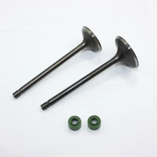 ZS CB 250cc Engine Head Intake Exhaust Valves Pit Pro Trail Quad Dirt Bike ATV