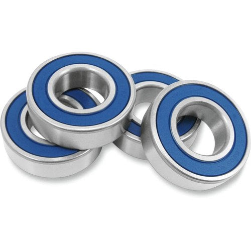Drag Specialties Wheel Bearing Kit - Rear - 09-18 Flt | 25-1405-D