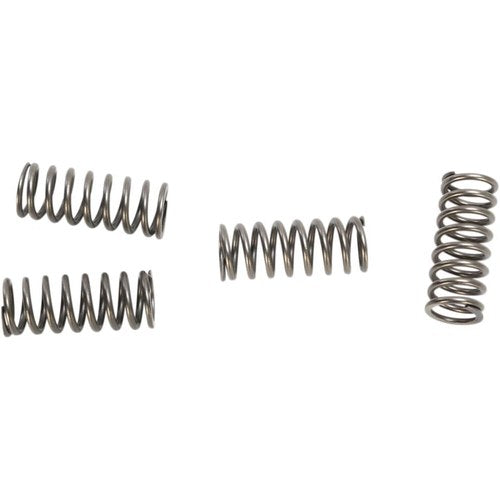 Ebc Clutch Springs | CSK219