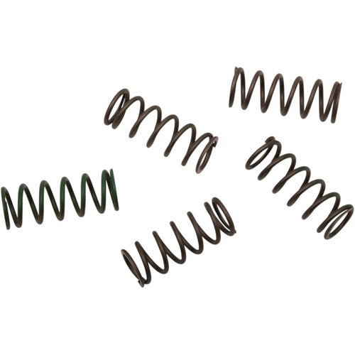 Hinson Racing Hi-Temp Clutch Spring Kit – Set of 5 (CS294-5-0109)
