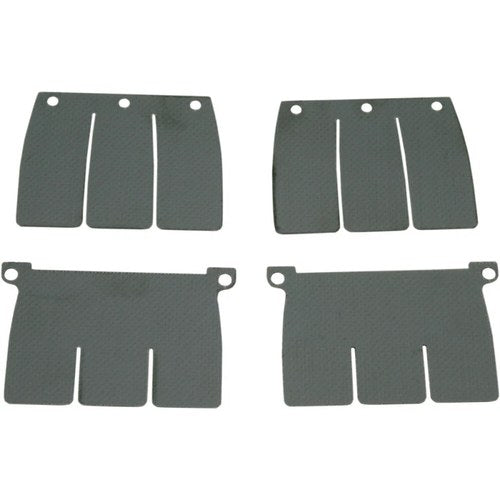 Moto Tassinari V-Force Reed Petal Set | DP110-1