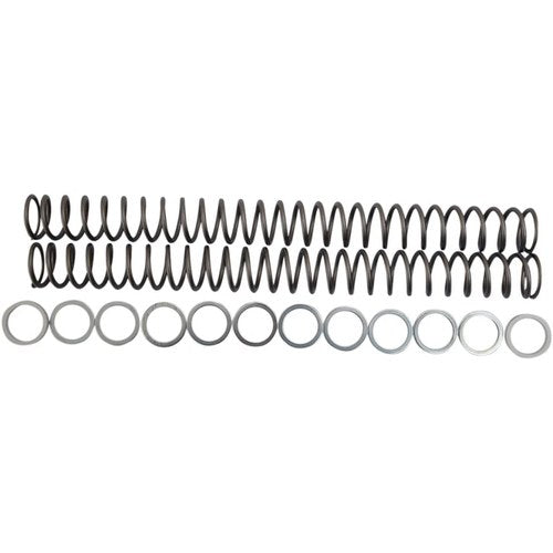 Race Tech Fork Springs - 0.48 kg/mm | Frsp 434648