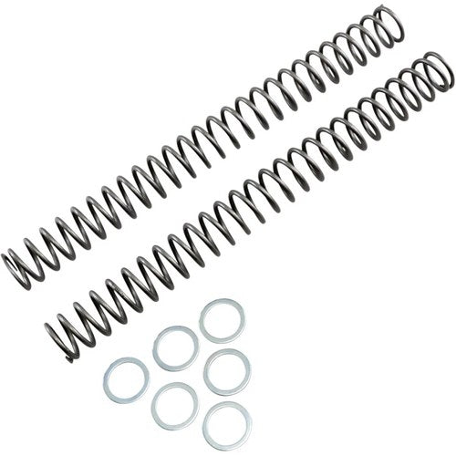 Race Tech Fork Springs - 0.46 kg/mm | Frsp 444546