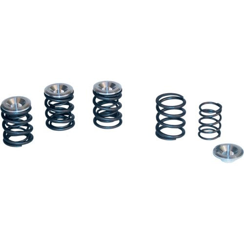 S&S Cycle Valve Spring Kit - Big Twin | 90-2053