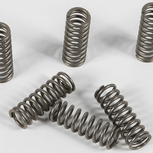 Ebc Csk Clutch Spring Kit | CSK90