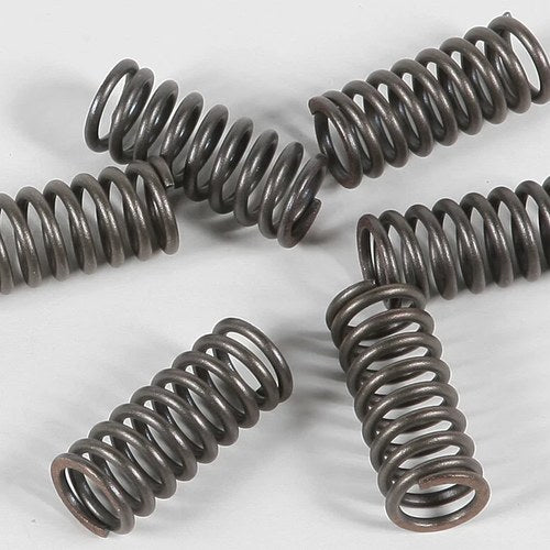 Ebc Csk Clutch Spring Kit | CSK33