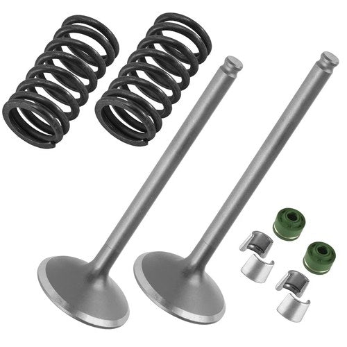2x Exhaust Valve Kit for Yamaha 1SL-12121-00-00 B11-12114-00-00 51Y-12119-00-00