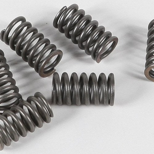 Ebc Csk Clutch Spring Kit CSK31