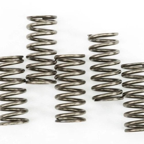 Ebc Csk Clutch Springs #CSK237 KTM RC 390 2015