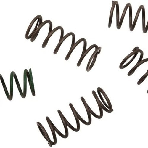 Hinson High Temp Clutch Spring Kit #CS294-5-0109 for Honda/KTM