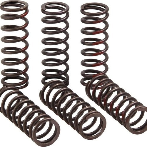Pro Circuit High Performance Clutch Springs #CSH21450-CS fits Honda CRF450R 2021