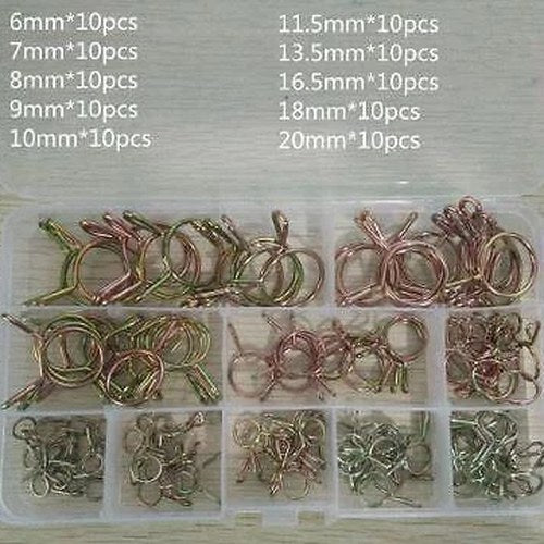 100pcs Hose Clamp, 6MM - 20MM Range