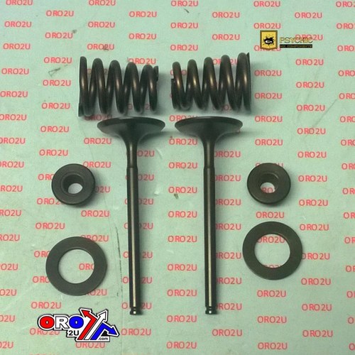 Psychic Inlet Valve Kit KTM 450 Exc 00-07, 520 SX 00-07, 525 SX 00-07