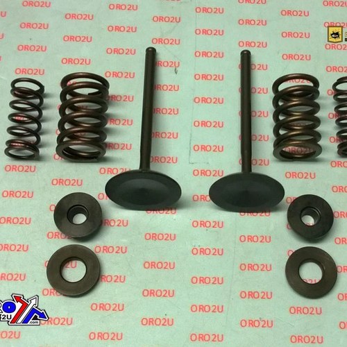 Psychic Inlet Valve+SPRING Kit Honda CRF450X 2005-2020