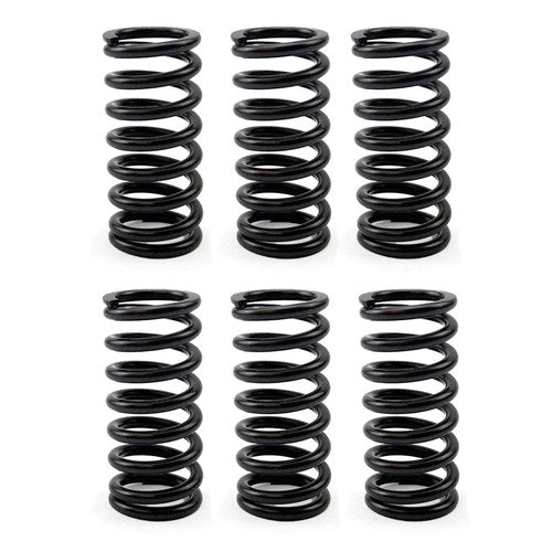 Ebc H/D Clutch Spring SET/6 KTM 620 Duke 94, EGS/EXC/SC 94-95, SX 1994