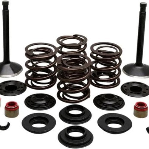 Kibblewhite Black Diamond Complete Engine Valve Kit 20-22450 Harley Davidson