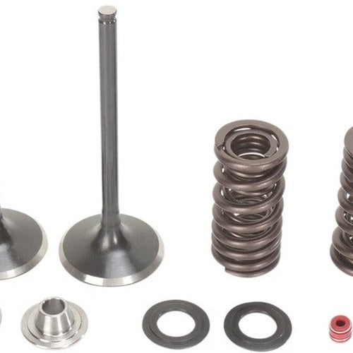 Moose Intake Valve/Spring Kit Steel for Honda CRF250X 4-Stroke/CRF250R 4-Stroke