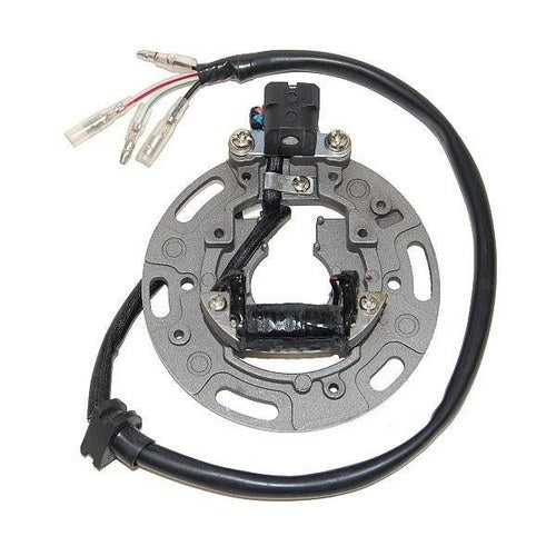 Electrosport Stator #ESC1361 fits Kawasaki KX80/KX80 Big Wheel/KX100