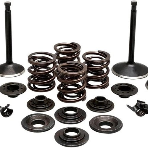Kibblewhite Black Diamond Complete Engine Valve Kit 20-22150 Harley Davidson