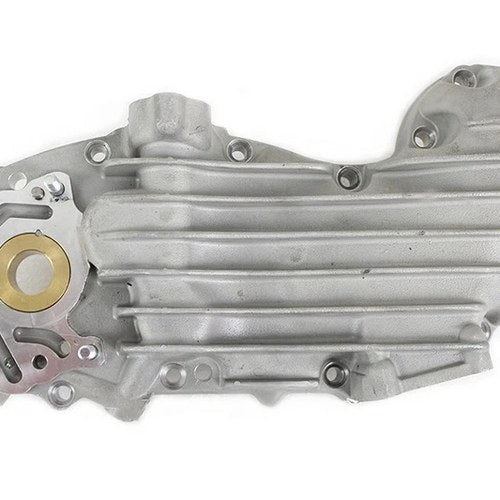 45 inch Cam Cover Natural Alloy for Harley-Davidson