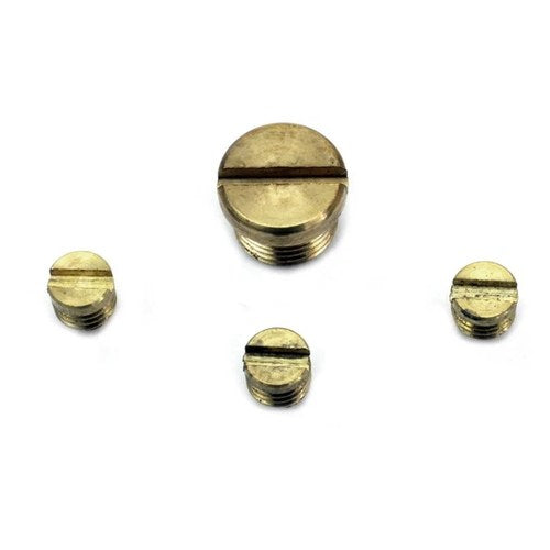 Carburetor Idle Plug and Screw Kit for Harley-Davidson