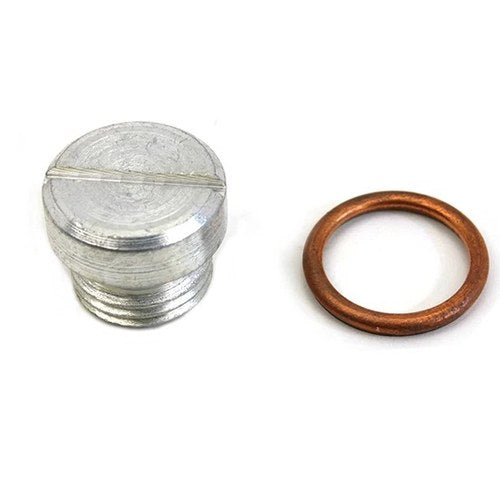 Oil Pump Screen Plug Cadmium for Harley-Davidson