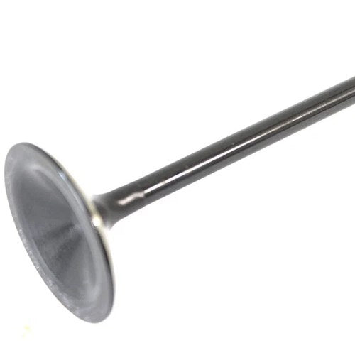 1200cc Black Diamond Stem Intake Valve for Harley-Davidson