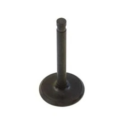 Nitrate Exhaust Valve for Harley-Davidson